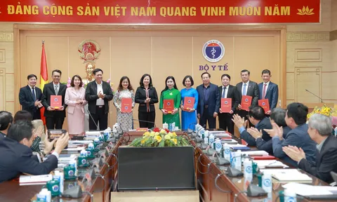 Quyết định bổ nhiệm nhân sự tại Bộ Y tế, Tổng Cục Thuế