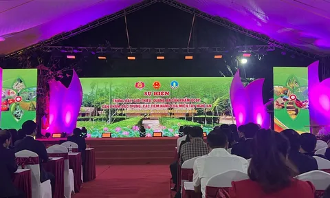 Trưng bày 162 sản phẩm OCOP đặc trưng tiêu biểu của Nghệ An tại Bộ Nông nghiệp và Phát triển nông thôn