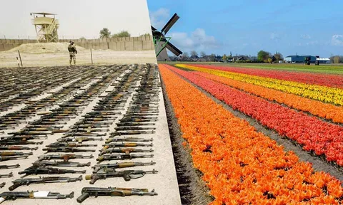 Hiểu rõ về quan hệ chế ước và tương tác giữa chiến tranh và hòa bình