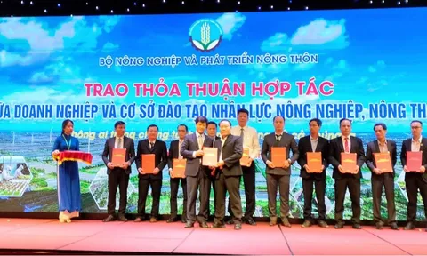 Thực trạng nguồn nhân lực cho ngành Nông nghiệp công nghệ cao và giải pháp