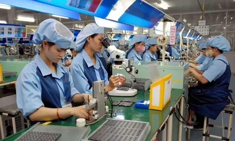 Vấn đề chảy máu chất xám và giải pháp thu hút lao động chất lượng cao tại Việt Nam (Phần 1)