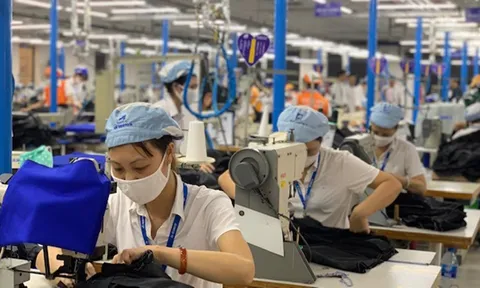 Vấn đề chảy máu chất xám và giải pháp thu hút lao động chất lượng cao tại Việt Nam (Phần 2 và hết)