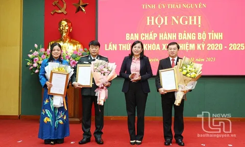 Quyết định bổ nhiệm cán bộ tại Quảng Ninh, Thái Nguyên