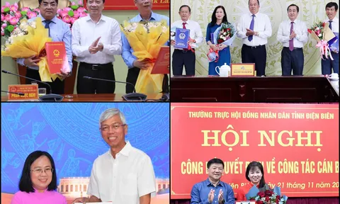 Nhân sự tỉnh thành tuần qua: Bổ nhiệm Phó Chánh Văn phòng và lãnh đạo các sở ngành
