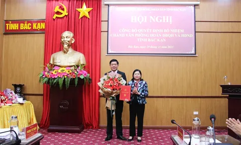Bắc Kạn, Bình Phước bổ nhiệm nhân sự mới