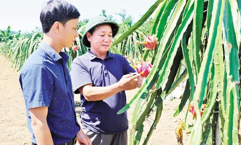 Lục Nam – Bắc Giang: Ngời sáng miền quê trù phú…