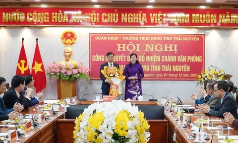 Bổ nhiệm nhân sự tại Thái Nguyên, Ninh Bình