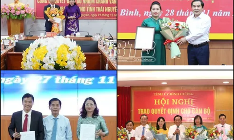 Nhân sự tuần qua: Bổ nhiệm Chánh văn phòng, Giám đốc sở các tỉnh thành