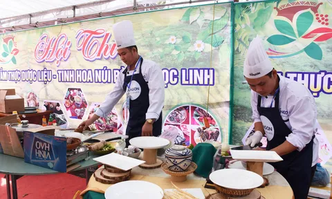Đưa tinh hoa núi rừng sâm Ngọc Linh vào ẩm thực