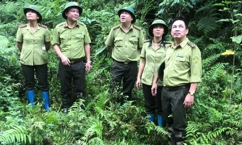 Quản lý bảo vệ và phát triển rừng tỉnh Thái Nguyên: Nỗ lực, cố gắng để rừng xanh mãi thêm xanh