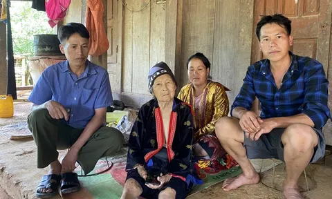 Những trưởng bản tiên phong bảo vệ rừng