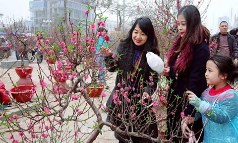 Một số chỉ đạo, điều hành nổi bật tuần từ ngày 11/12 - 15/12/2023