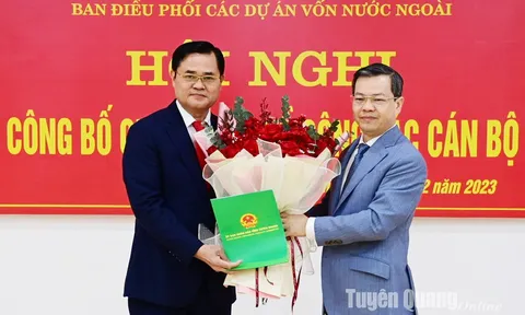 Kiện toàn nhân sự mới tại Hoà Bình, Tuyên Quang