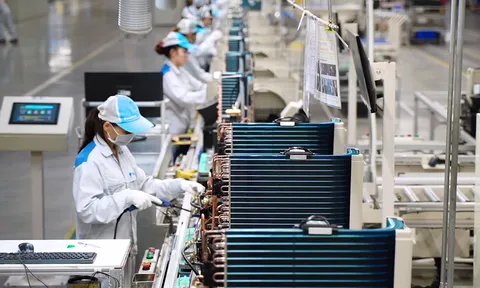 Những yếu tố ảnh hưởng đến năng suất lao động ở Việt Nam