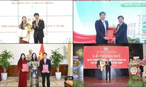 Nhân sự bộ ngành tuần qua: Bổ nhiệm Vụ trưởng, Chánh án TAND