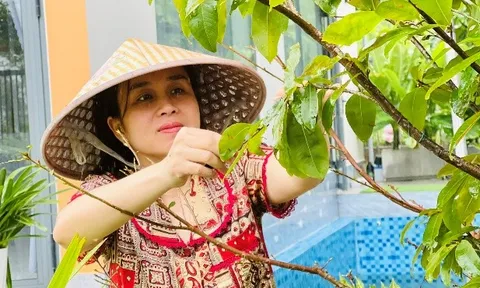Mùa tuốt lá mai Tết