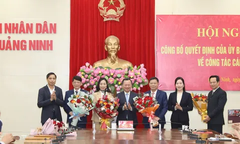 Kiện toàn nhân sự mới tại Quảng Ninh, Yên Bái