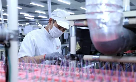 Báo Thụy Sĩ đánh giá cao thành tựu kinh tế, ngoại giao của Việt Nam năm 2023