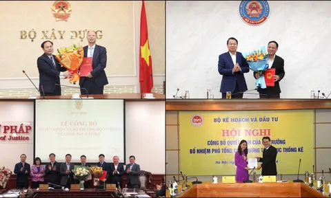 Nhân sự bộ ngành mới nhất: Bổ nhiệm Phó Chánh văn phòng, Phó Tổng cục trưởng, Vụ trưởng