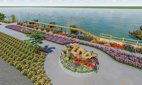 Cánh đồng hoa đẹp như mơ tại Quảng Ngãi trong dịp Tết Nguyên Đán 2024