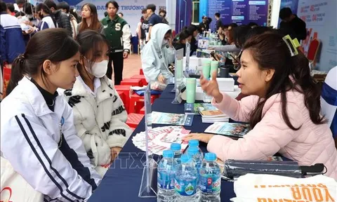 Tư vấn, hướng nghiệp cho học sinh tại Thái Bình