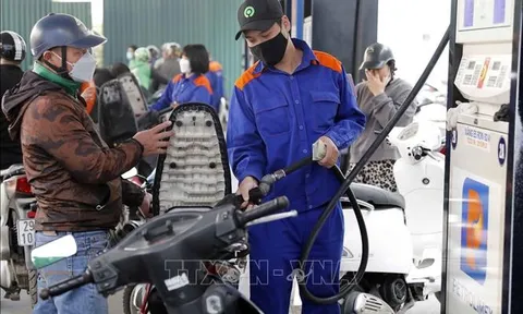 Thủ tướng yêu cầu bảo đảm cung ứng đủ xăng dầu cho sản xuất, kinh doanh và tiêu dùng