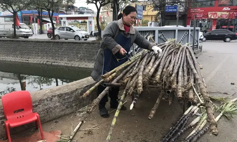 Người lao động vất vả mưu sinh trong ngày rét đậm, rét hại