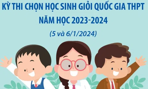 12 thủ khoa Kỳ thi chọn học sinh giỏi quốc gia THPT năm học 2023-2024