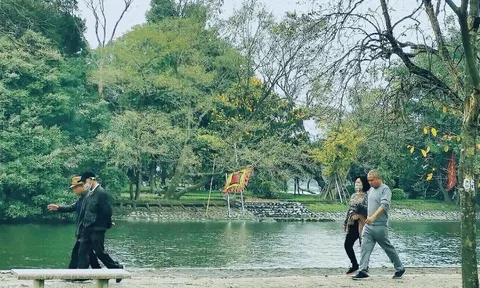 Thăm cây đa Bác trồng ngày Tết