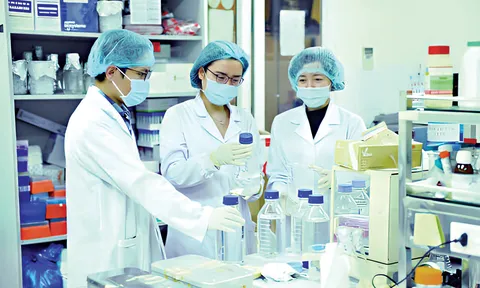 Chiến lược quốc gia về thu hút, trọng dụng nhân tài đến năm 2030, tầm nhìn 2050