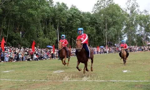 Đặc sắc Hội đua ngựa truyền thống Gò Thì Thùng