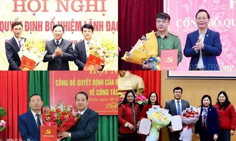 Phê chuẩn Phó Chủ tịch tỉnh, bổ nhiệm Giám đốc Sở