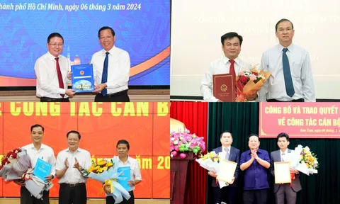 Bầu Phó Chủ tịch UBND tỉnh, bổ nhiệm Phó Chánh Văn phòng