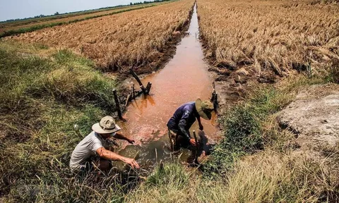 Dự báo xâm nhập mặn tại Nam Bộ và Công điện của Thủ tướng chỉ đạo tập trung ứng phó