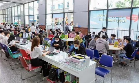 Tuyển sinh Đại học 2024: Tìm hiểu kỹ thông tin, chọn nguyện vọng phù hợp