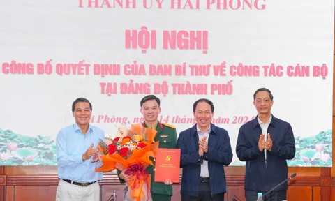 Điều động, bổ nhiệm nhân sự tại Hải Phòng và Quảng Nam