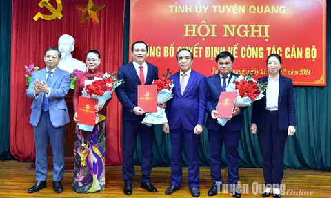Bổ nhiệm nhân sự mới tại TP.HCM, Tuyên Quang