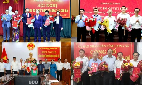 Phân công Bí thư Tỉnh ủy, bầu Phó Chủ tịch HĐND tỉnh