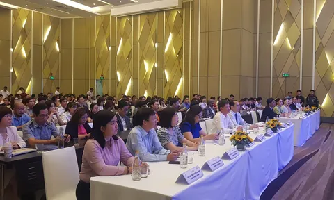 Đà Nẵng đặt mục tiêu thu hút 8 triệu lượt khách du lịch với Enjoy Danang 2024