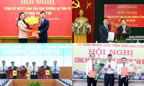 Chuẩn y Bí thư Tỉnh ủy, bổ nhiệm Phó Chánh Văn phòng UBND