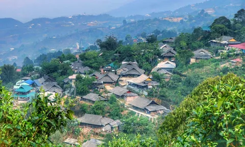Suối Giàng, Yên Bái: Đóa hoa rừng chờ ngày bung nở