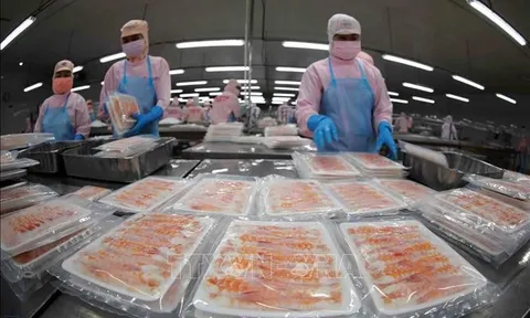 Bộ LĐTBXH phản hồi kiến nghị giảm giờ làm việc bình thường xuống dưới 48 giờ/tuần