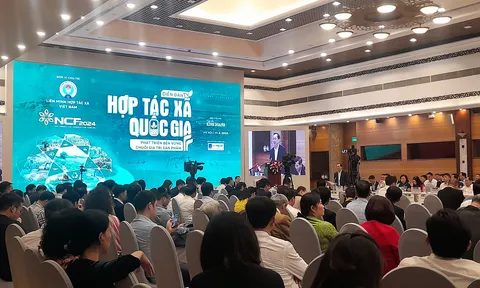 Nâng cao chất lượng nguồn nhân lực cho HTX, thúc đẩy phát triển bền vững chuỗi giá trị sản phẩm