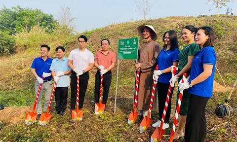 Điện Biên: Phủ xanh tương lai trên miền đất lịch sử