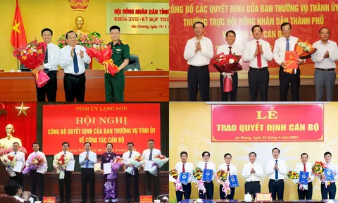 Bầu Phó Chủ tịch tỉnh, bổ nhiệm Giám đốc sở