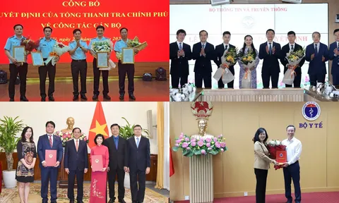 Bổ nhiệm Vụ trưởng, Phó Cục trưởng