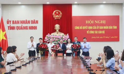 Kiện toàn nhân sự tại Quảng Ninh, Hoà Bình
