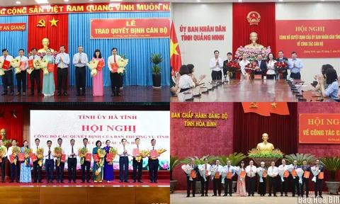 Bổ nhiệm Phó Chánh Văn phòng UBND tỉnh; Giám đốc Sở