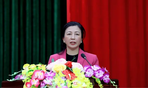 Bà Lê Thị Thu Hồng điều hành hoạt động Tỉnh ủy Bắc Giang
