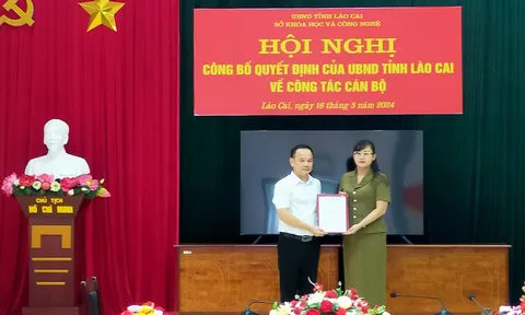 Bầu Phó Chủ tịch UBND tỉnh, bổ nhiệm Chánh Văn phòng Tỉnh ủy